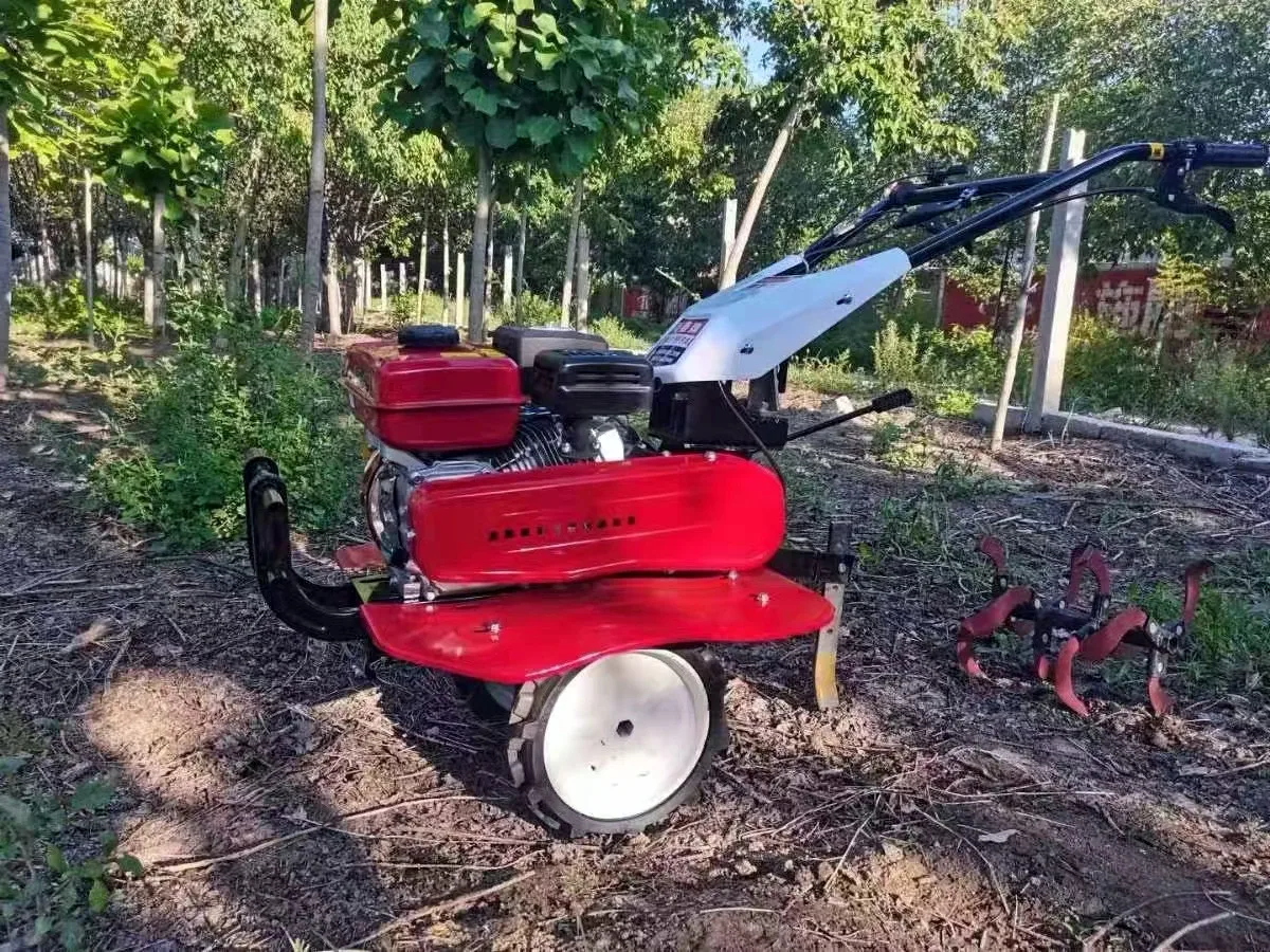 Organic Farming Of Agriculture - Offerta Speciale: Miglior Motozappa per Agricoltura,