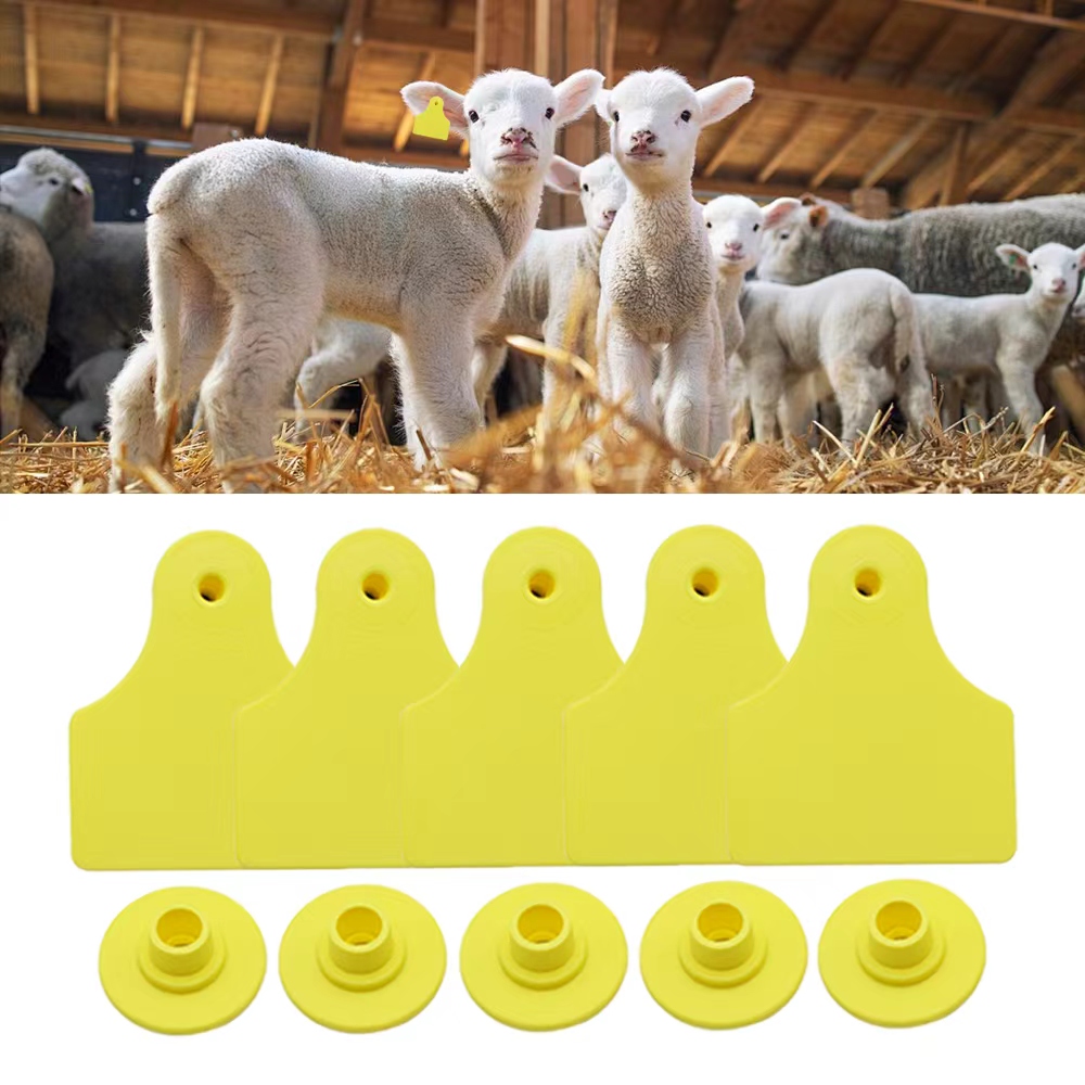 Livestock Ear Tag - 20 Pezzi Etichette Auricolari Vuote 40*50mm