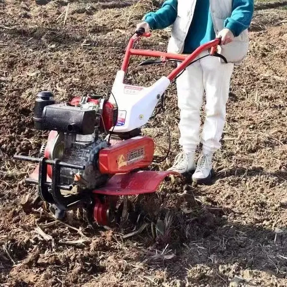 Offerta Speciale: Miglior Moto - Organic Farming Of Agriculture recensione e prezzo
