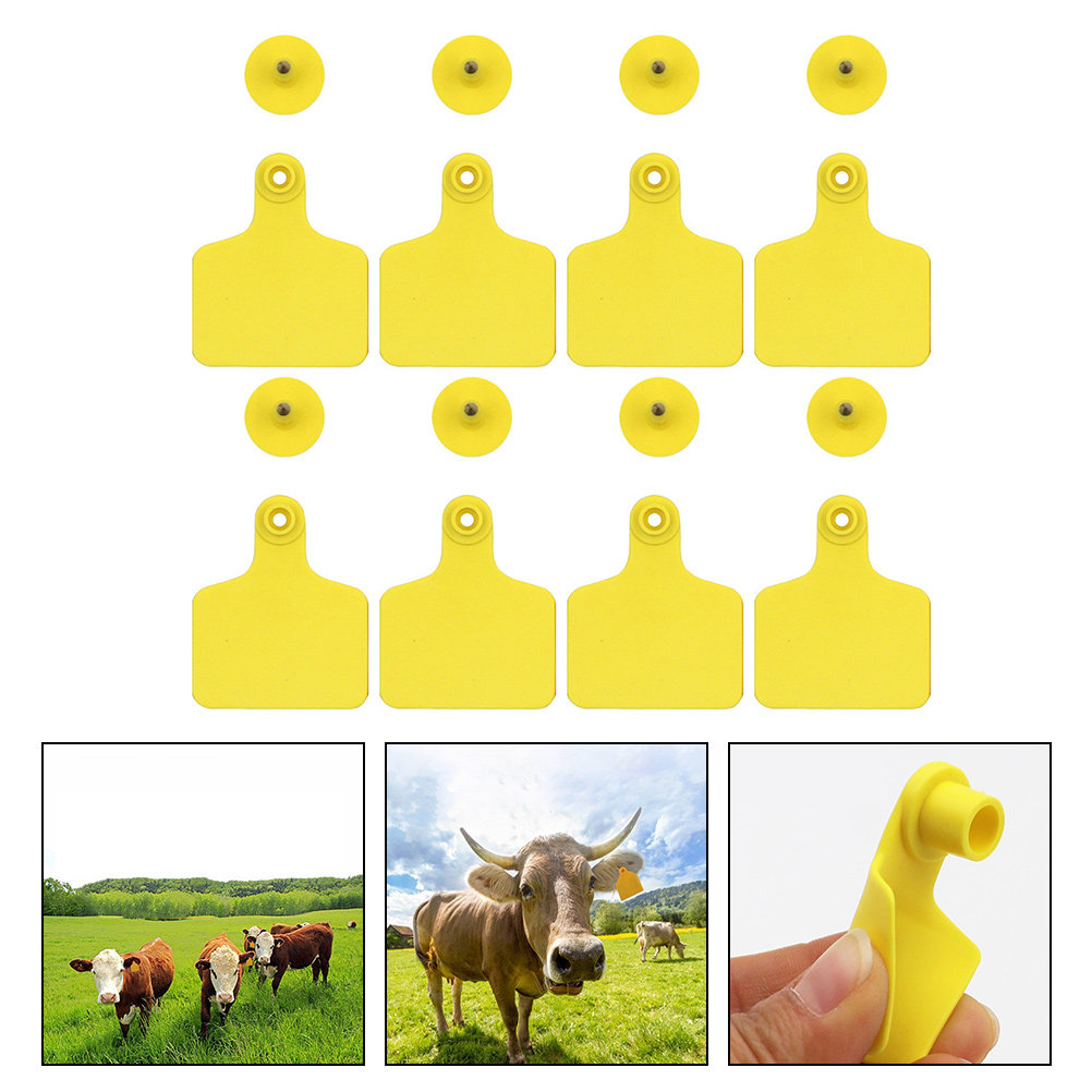 100 Etichette Auricolari in Pl - Livestock Ear Tag recensione e prezzo