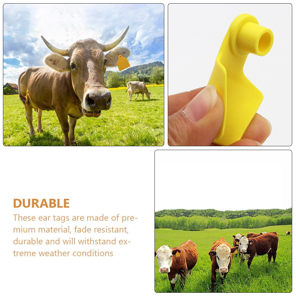 100 Etichette Auricolari in Pl - Livestock Ear Tag recensione e prezzo