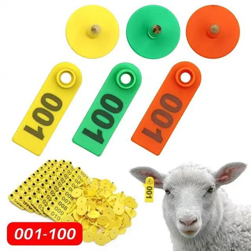 AB41-Targhette numerate per or - Livestock Ear Tag recensione e prezzo