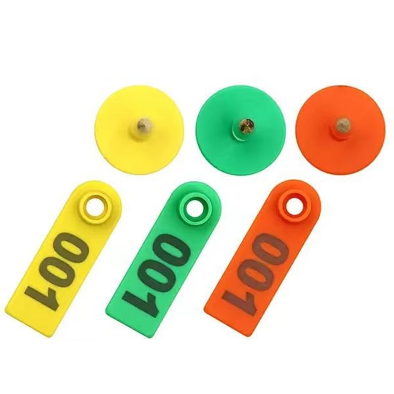 AB41-Targhette numerate per or - Livestock Ear Tag recensione e prezzo